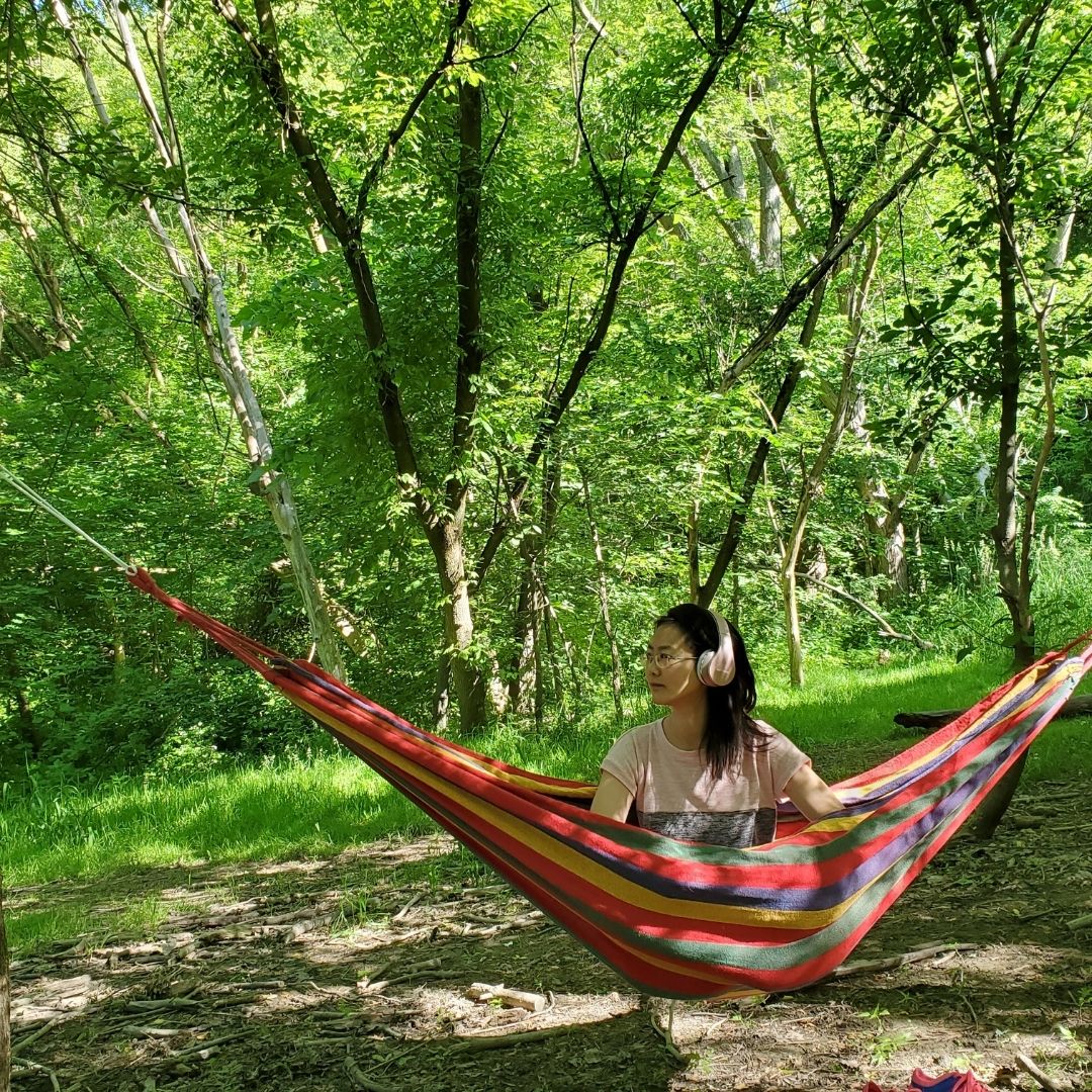 hammock in the nature